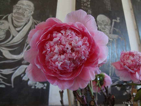 昙华寺旅游景点攻略图