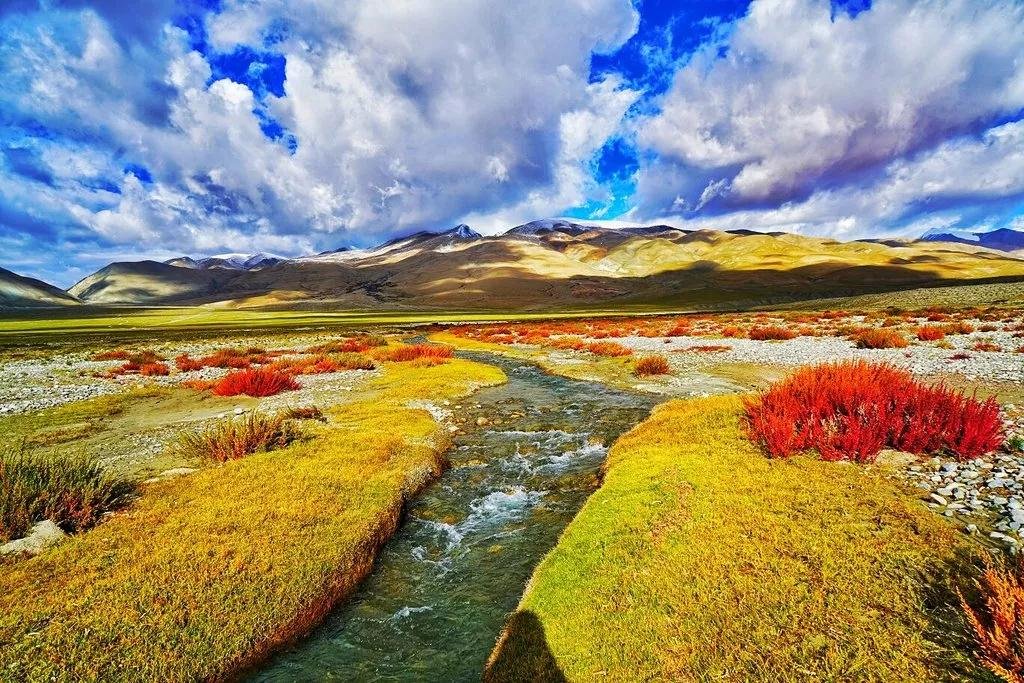 云南这个樱花谷美得超乎你的想象，却只有1%的人来过