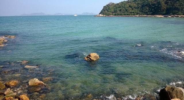 深圳这么多好地方,3月春游,你打算去几个!