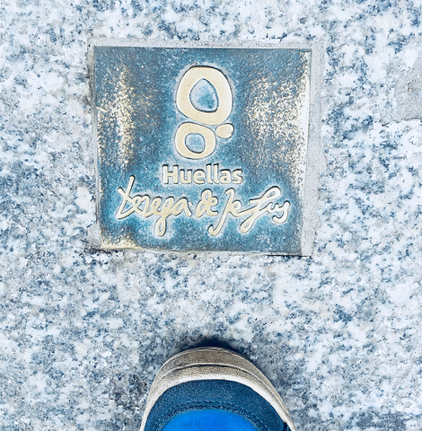 城堡建于塞戈维亚古城埃雷斯马河与克拉莫雷斯