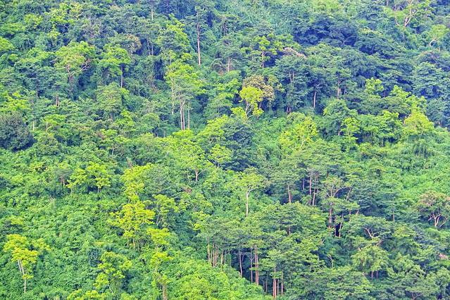 十字架山生态公园