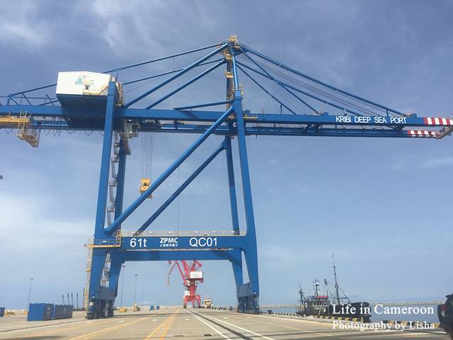 致我在非洲的900个夏天