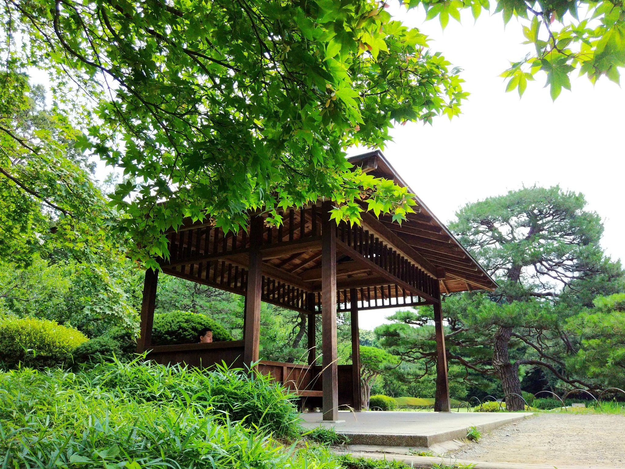 搭乘东京地铁丸之内线,新宿御苑前站1号出口,步行5分钟即可