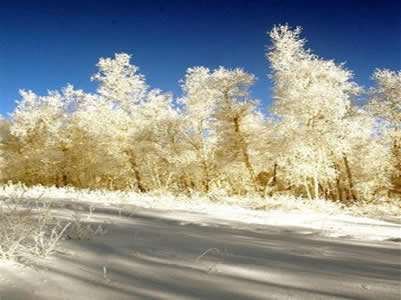 大子杨山古人类遗址