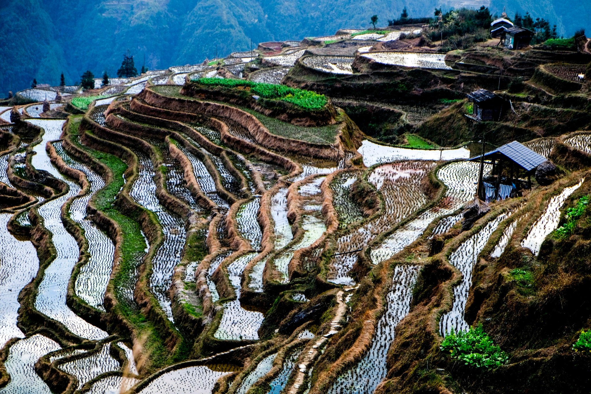 加榜梯田观日出,侗寨鼓楼老榕树,荔波夜景美如画,美景处处不胜数