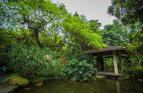 中国科学院华南国家植物园旅游景点攻略图