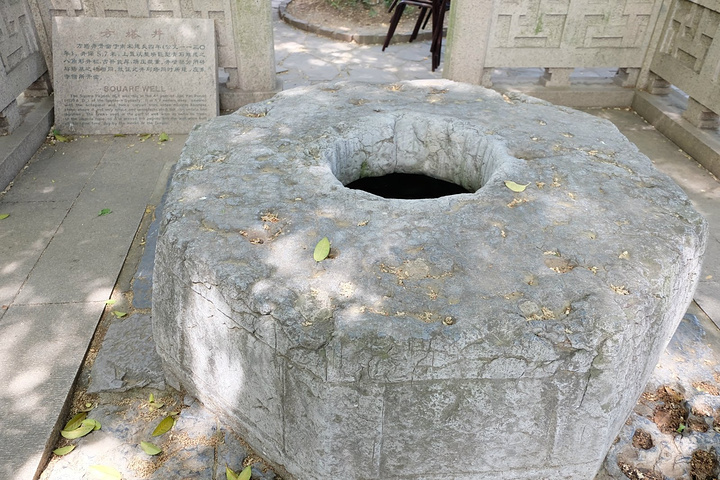 春和景明入目皆是风景对于常熟人来说方塔园不仅是一处景点更是喝茶