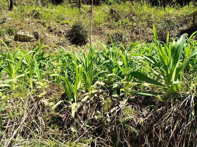 舒城万佛山1日游