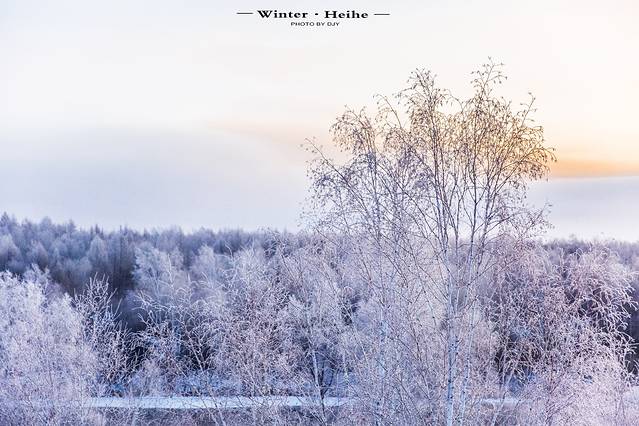 逊克县古纳温雾凇景区