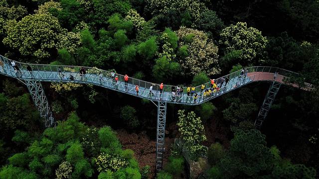 大余丫山旅游度假区