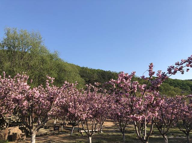 横山寺森林公园