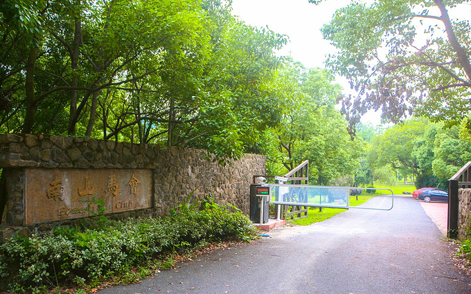 三湾植物园图片