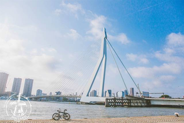 鹿特丹中央车站