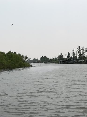 微山湖国家湿地景区