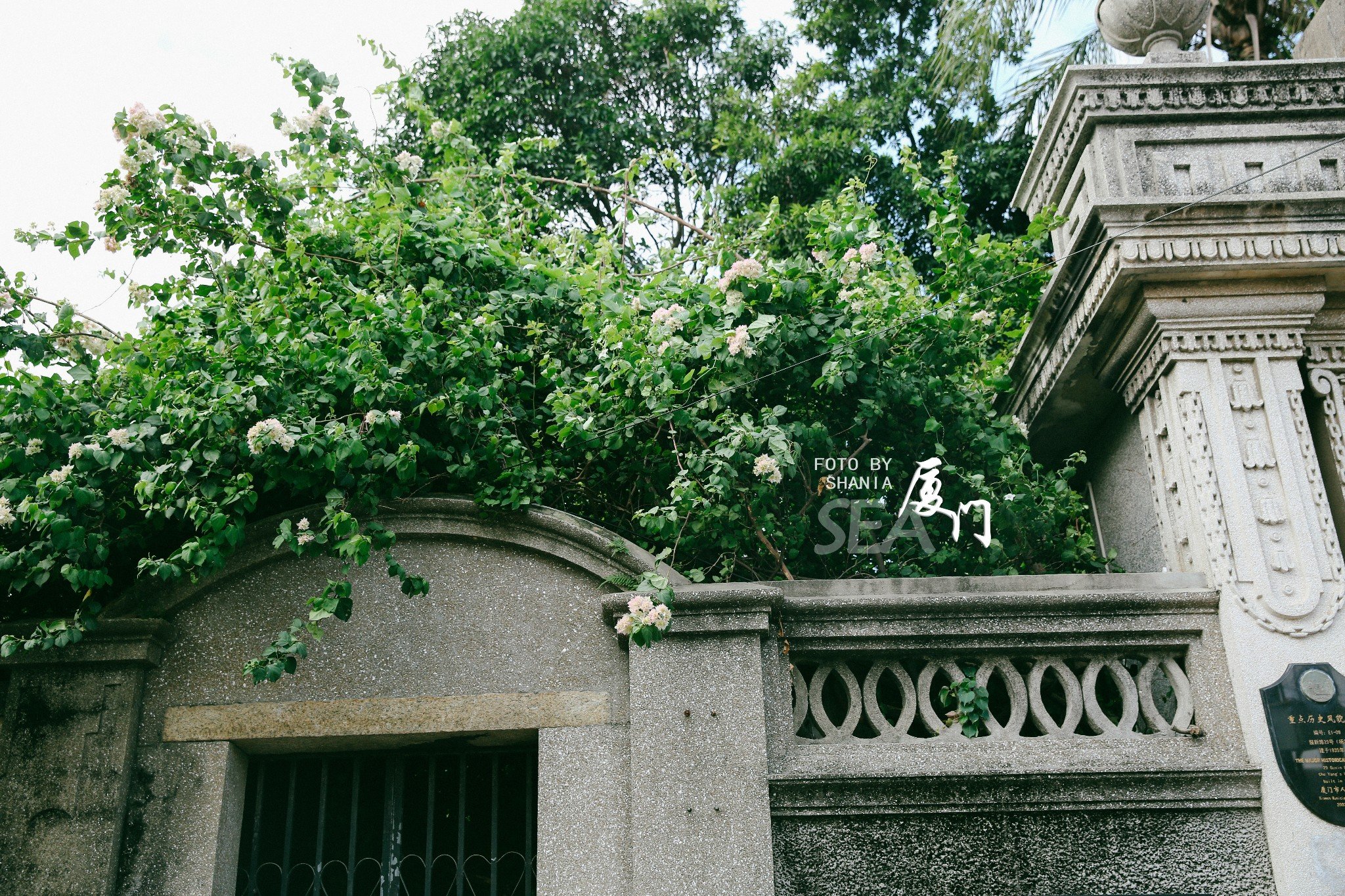 马拉桑, 鼓浪屿 上果汁饮料的一家老字号,分店开的也挺多不必特意找