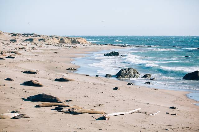 比克斯比河大桥