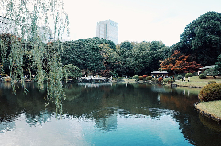 21公园可以媲美植物园 一年四季都有花卉可供观赏 特别是春日的樱花和秋日的红叶 新宿御苑 评论 去哪儿攻略