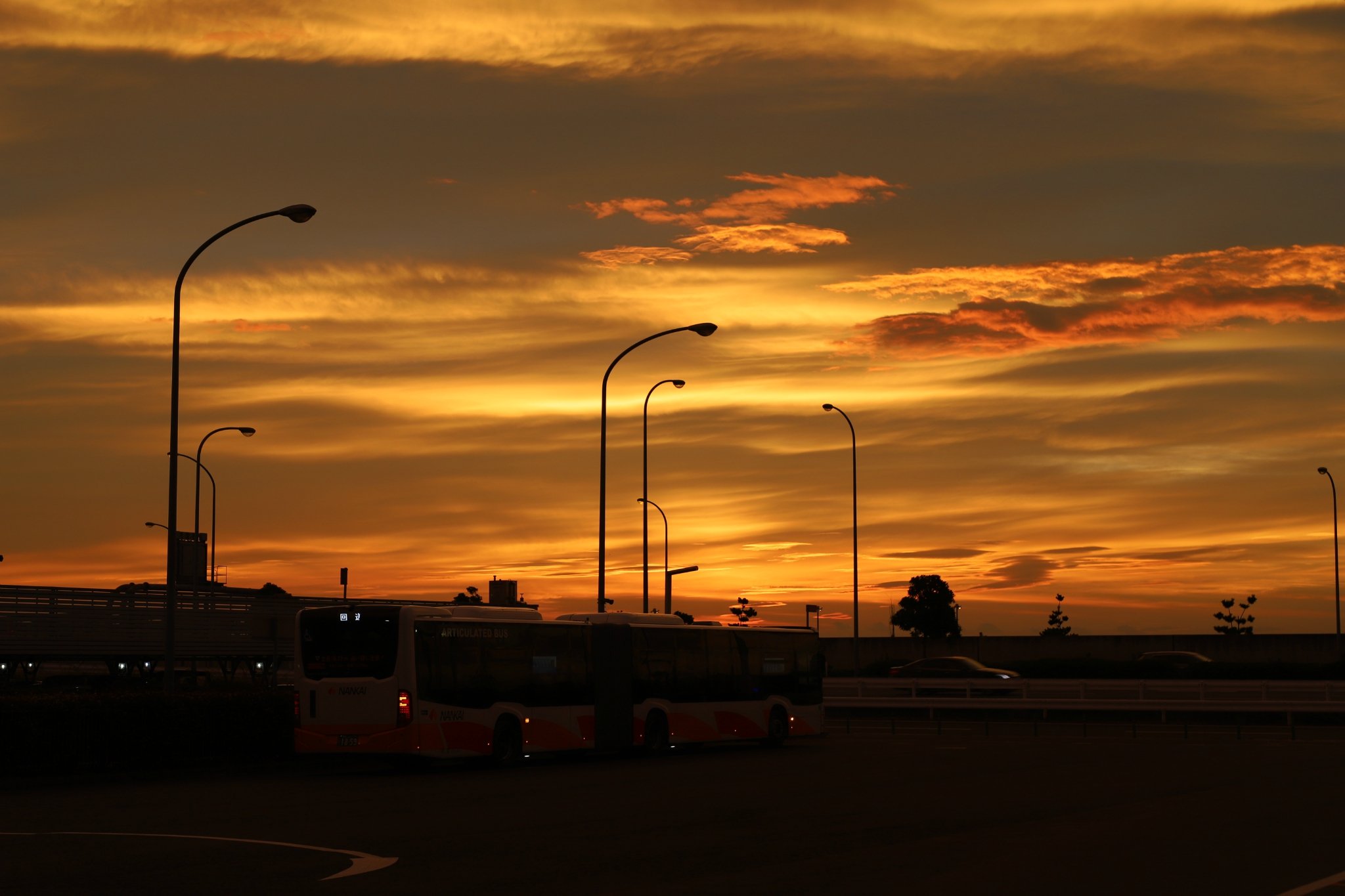落日的余晖,霓虹,撒扬娜拉