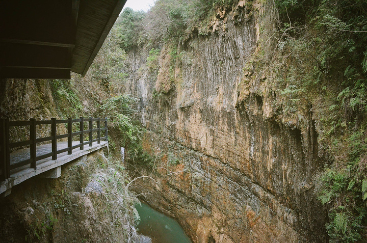 "不过比起整个大峡谷的风景而言，付出点艰辛还是很值得的，因为大峡谷的自然风貌和科学价值绝对是世界级的_云龙河地缝"的评论图片