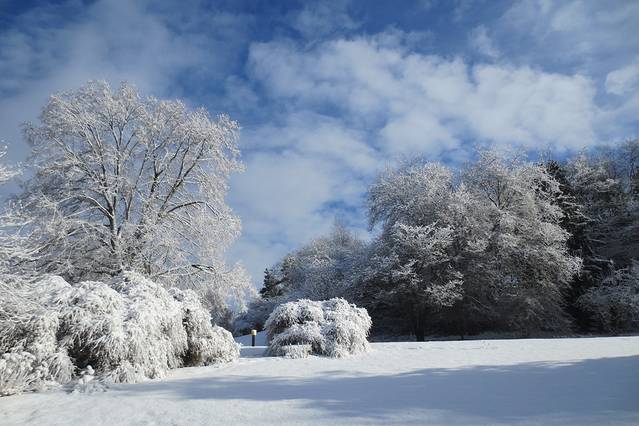 伊丽莎白女王公园