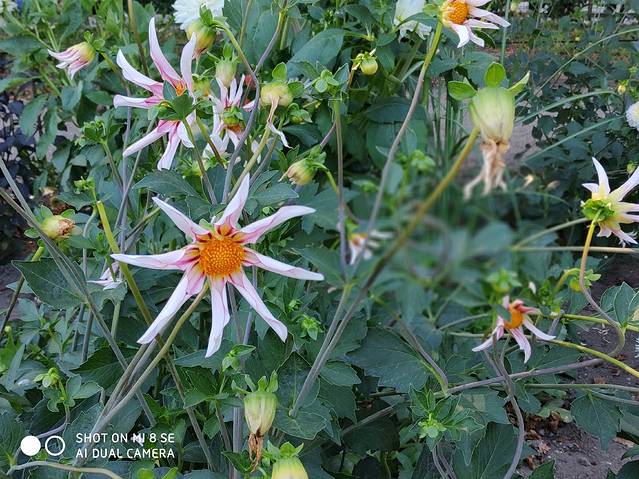 安徒生童年故居