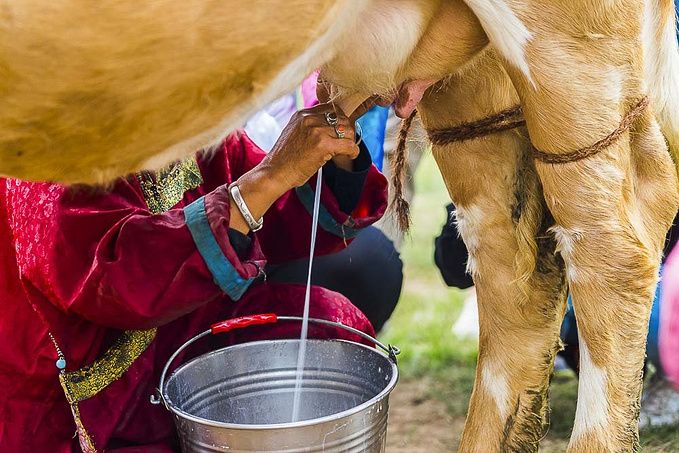 比如 到养牛人家观看挤牛奶等.