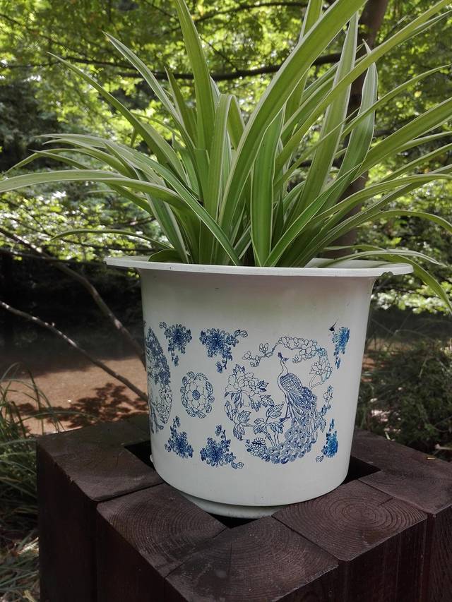 小车河城市湿地公园