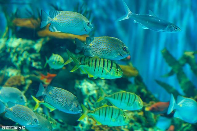 张家港梦幻海洋王国