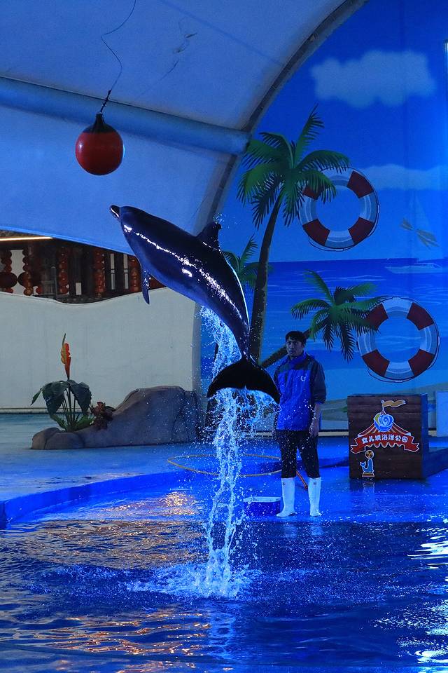 女儿城海洋公园