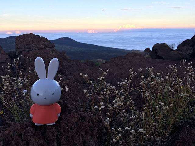 莫纳克亚山天文台