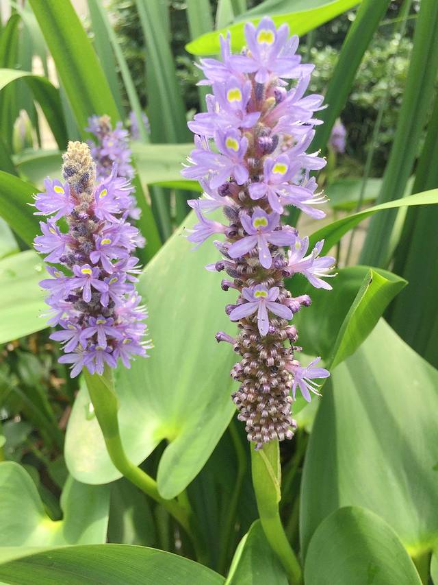 吴越春秋游乐园