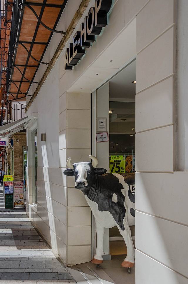 科尔多瓦老城区