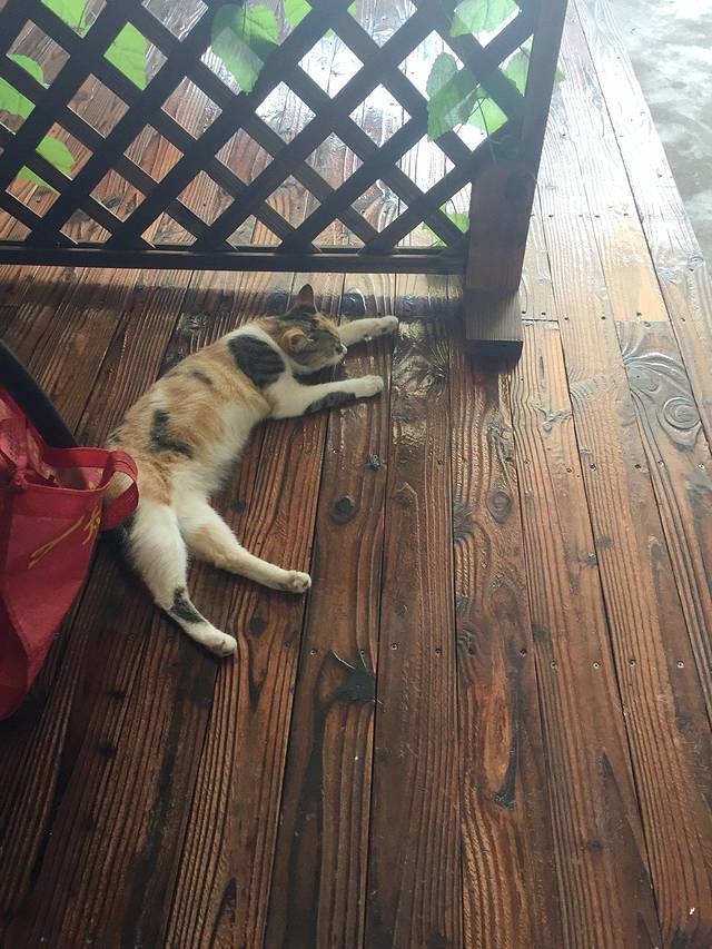 乡乐园蟹庄·阳澄湖农家乐