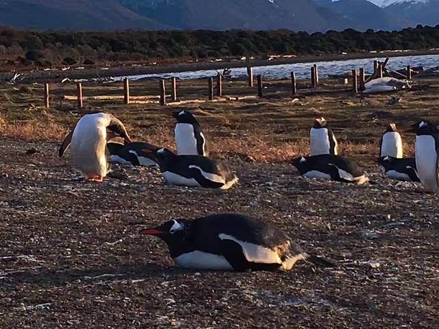 也格来日斯灯塔