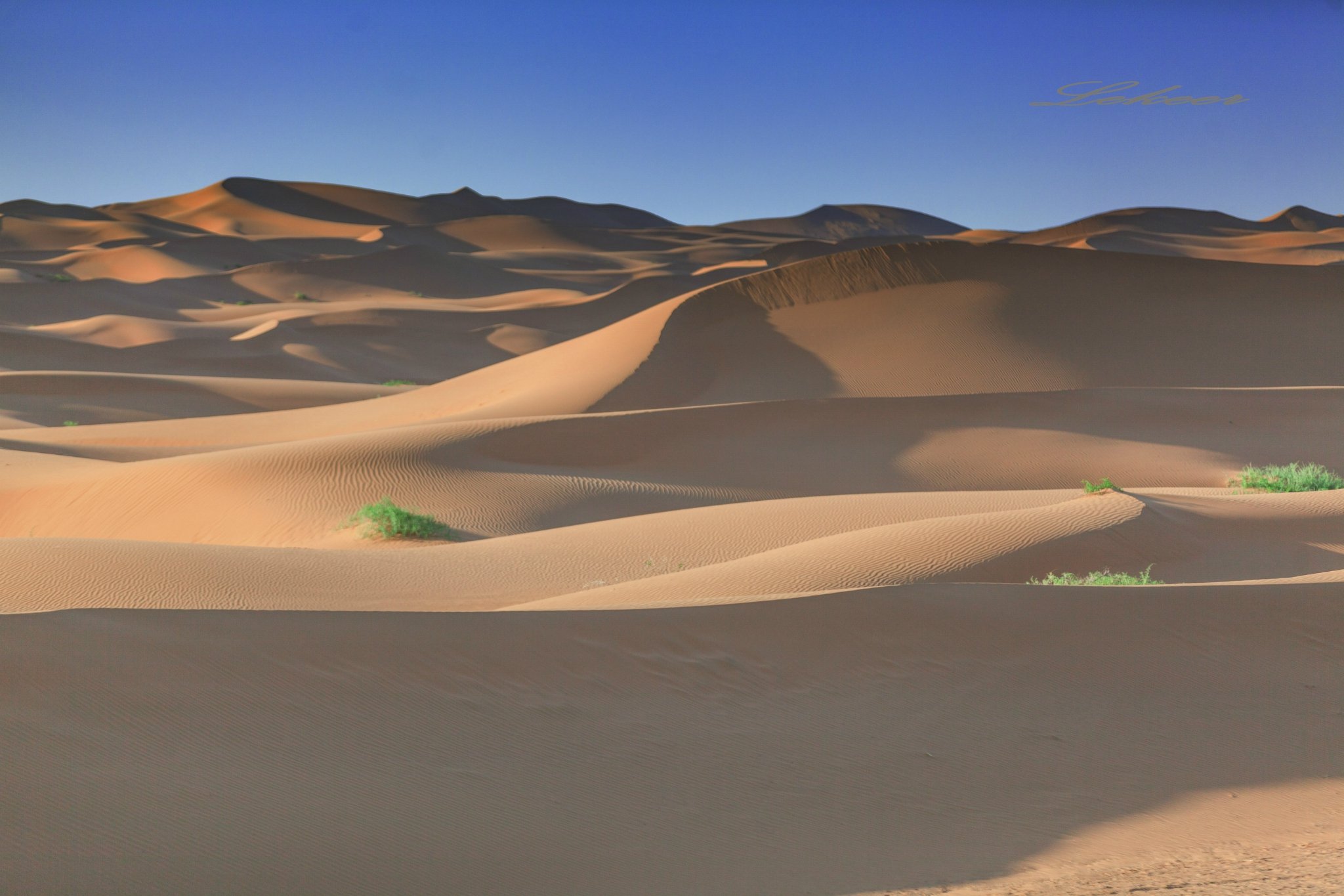 2022腾格里沙漠月亮湖游玩攻略,看美景,花费仅仅小ks,拍它.