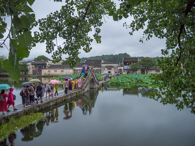 2024宏村 最有名的景点:南湖画桥,南湖也就是 宏村 牛式建筑的牛肚,画桥就在南湖之上,远远看去,画..._宏村景区-评论-去哪儿攻略