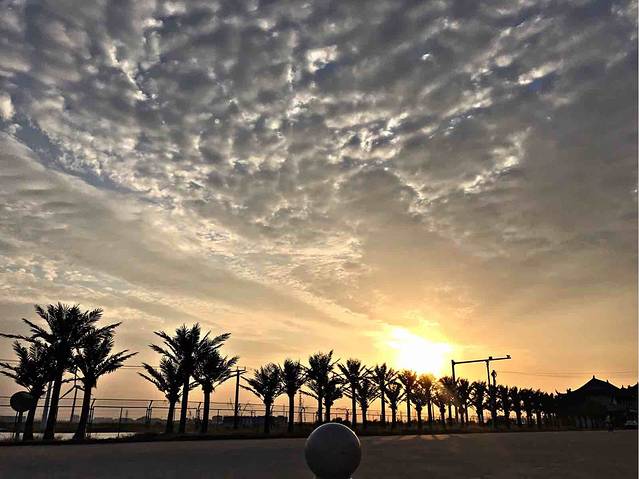 洋口渔港旅游度假区