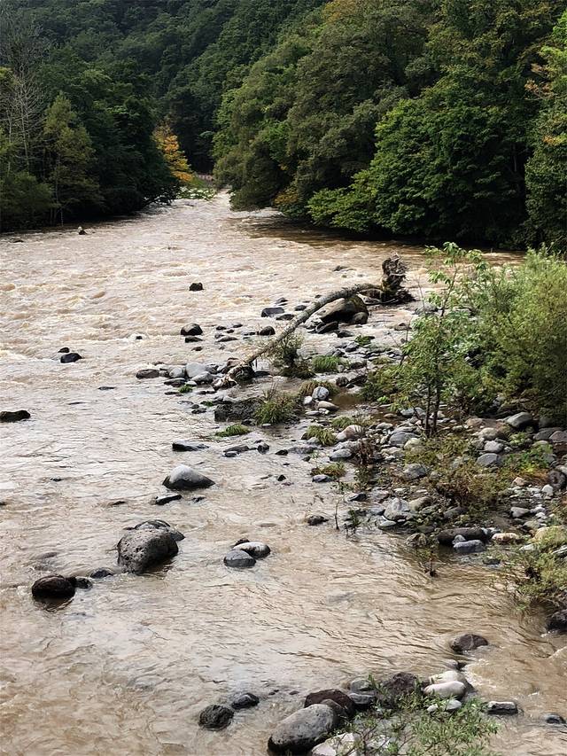 奥入濑溪流