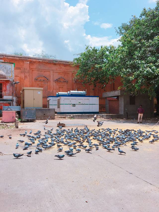 斋浦尔城市皇宫