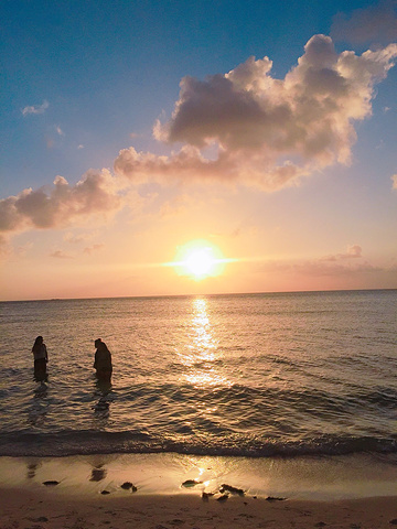 麦可海滩 和我们一起摇摆! 麦可海滩 最.