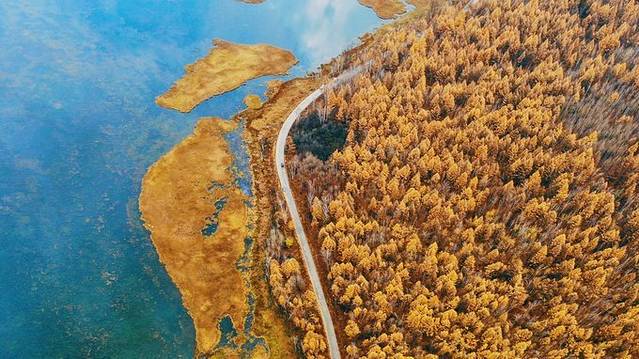 阿尔山国家森林公园