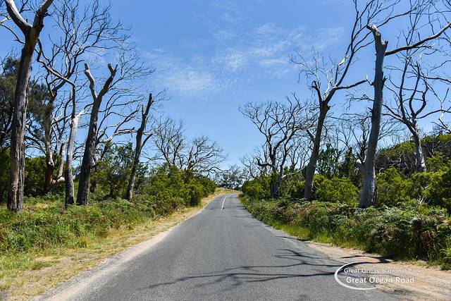 大奥特威国家公园