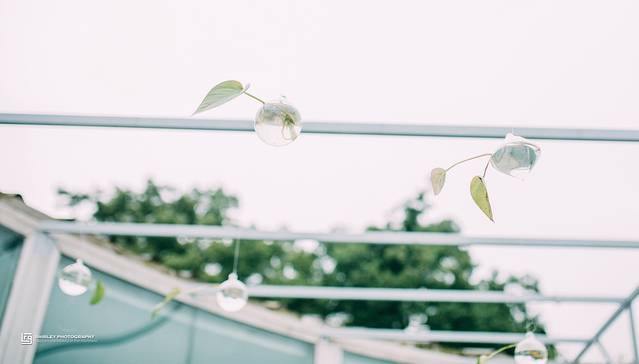 山鬼泉水鸡·围炉煮茶·年夜饭(山鬼民宿店)