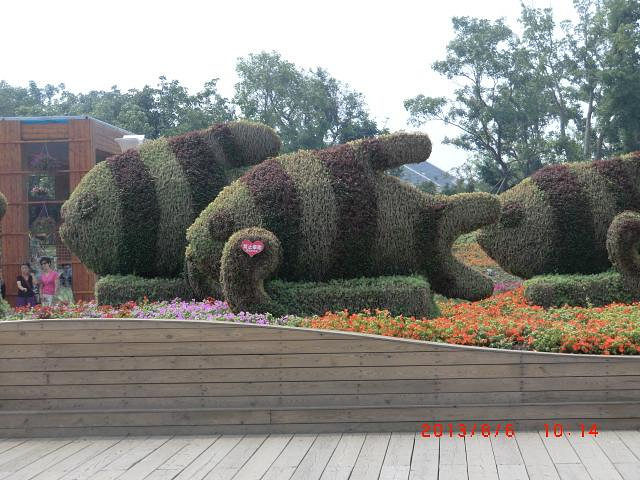 2017最后我们以30元的价格拿到门票_锦州世博