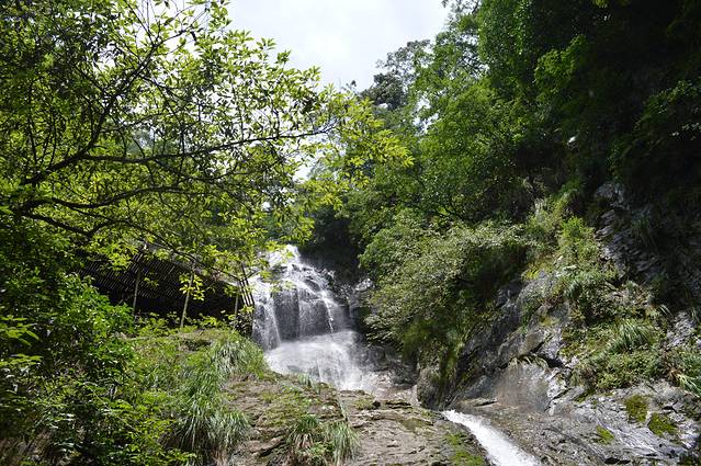 天目山景区