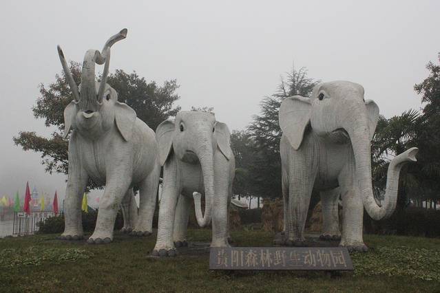贵州森林野生动物园