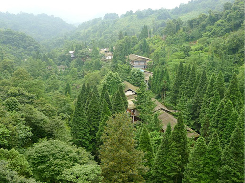青城山