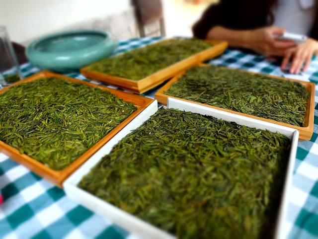 老龙井十八棵御茶园