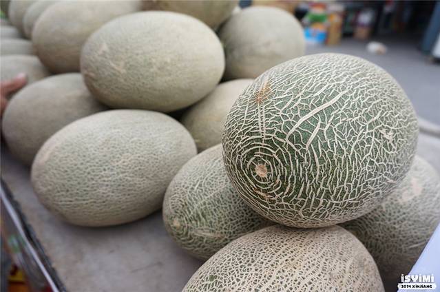 金秋新疆-哈纳斯伊犁欢乐20日游