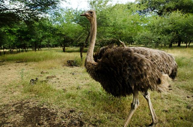 卡塞拉自然公园